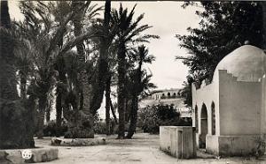 Colomb bechar 501- Square COLLECTION DES AMIS DE ND DE SANTA CRUZ